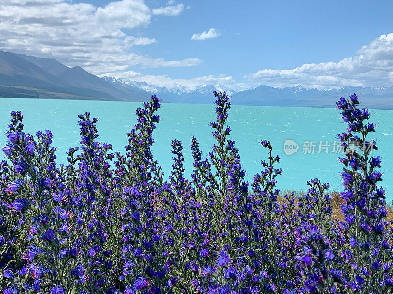 Mount Cook Road (State Highway 80)和Lake Pukaki view, Twizel, South Island, New Zealand